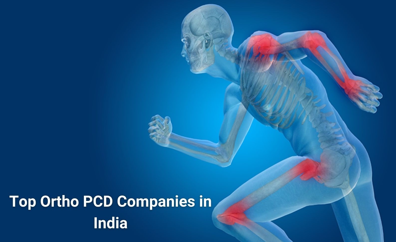 Top Ortho PCD Companies in India